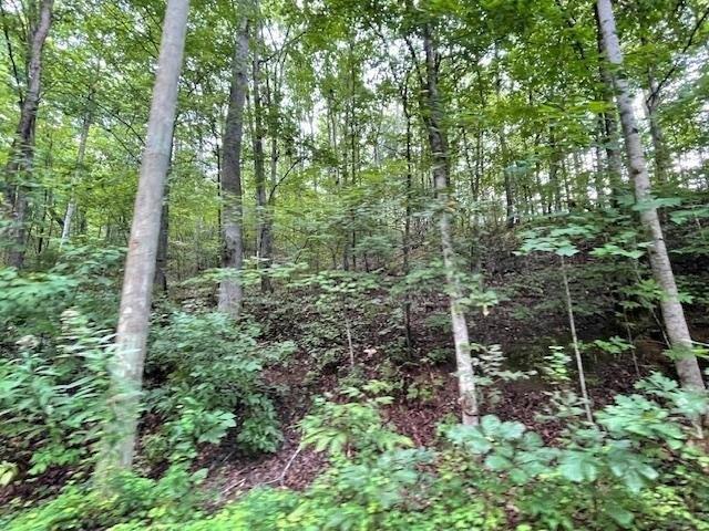 Land for sale in Tennessee