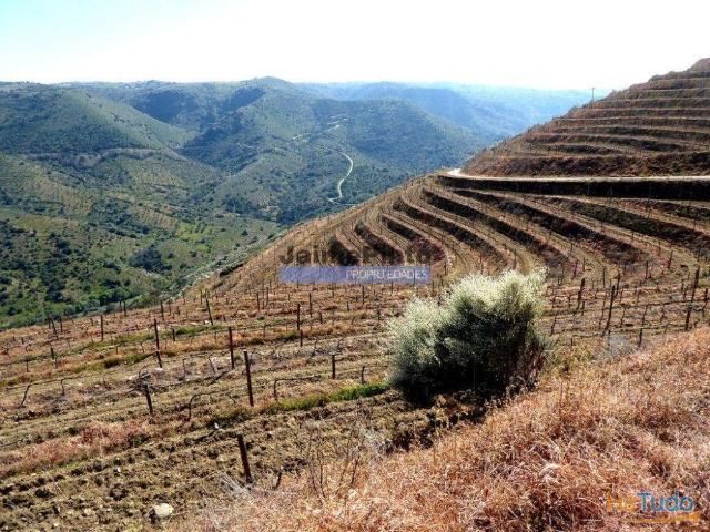 Terreno venda em Guarda, Figueira De Castelo Rodrigo