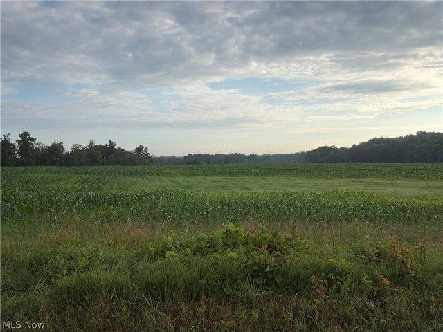 Land for sale in Madison, Ohio