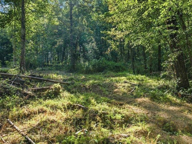 Land for sale in Jasper, East Tennessee