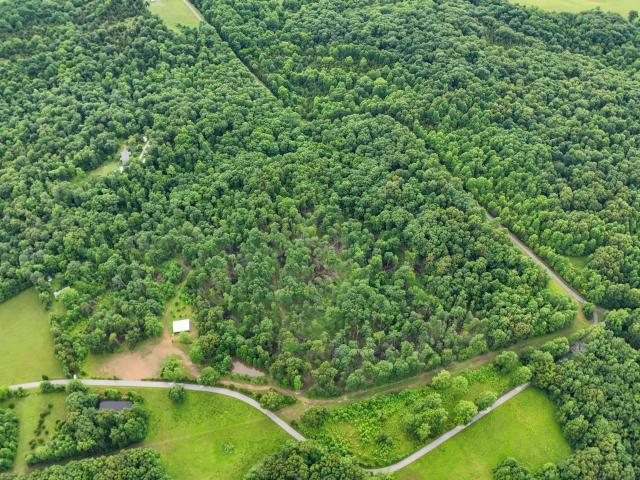 Land for sale in Medora, Indiana