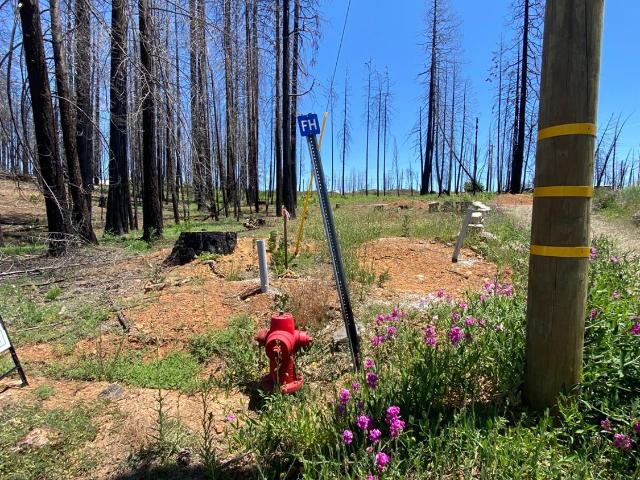 Land for sale in Grizzly Flats, California