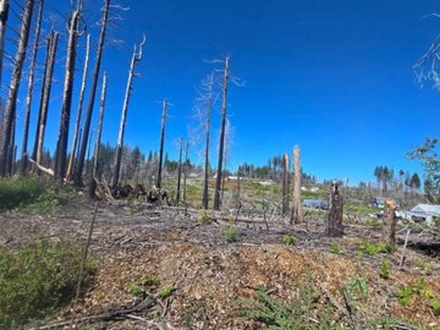 Land for sale in Grizzly Flats, California