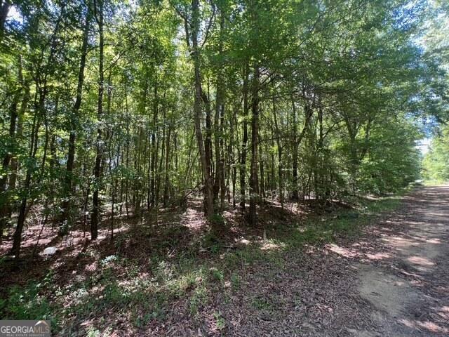Land for sale in Sandersville, Georgia