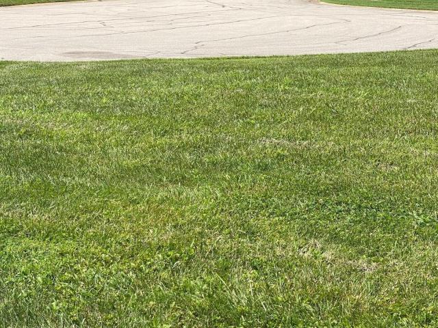 Land for sale in Shelbyville, Kentucky