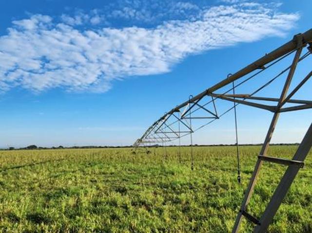 Farm for sale in Frances Baard, Northern Cape
