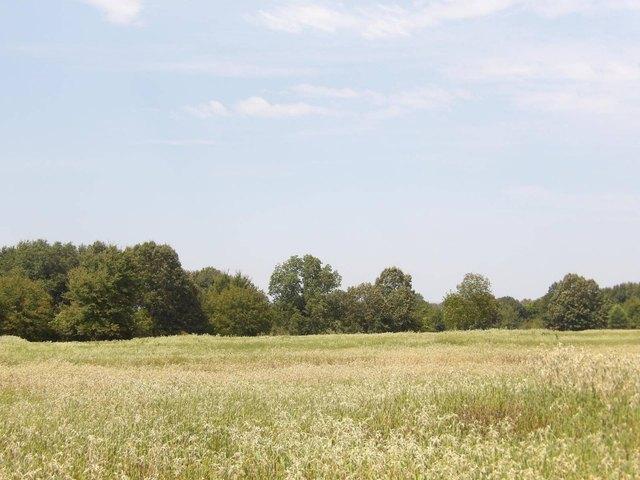 Land for sale in Boswell, Oklahoma