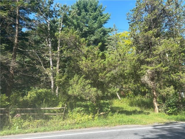Land for sale in Dryden, New York