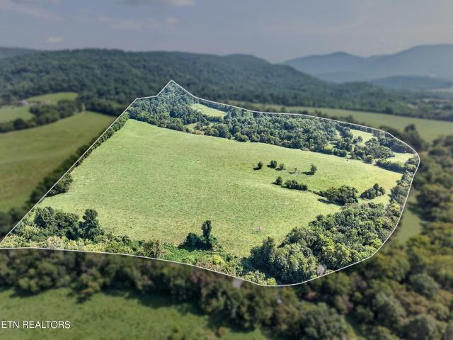 Land for sale in Tennessee