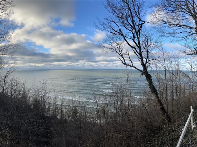 Land for sale in Coloma
