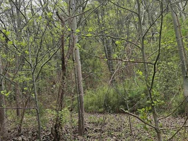 Land for sale in Etowah, Alabama