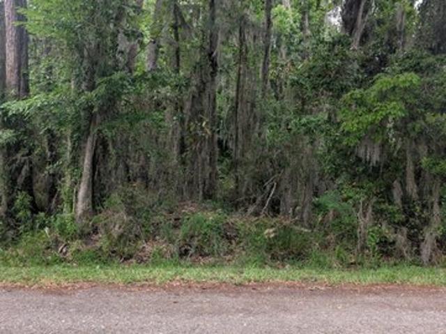 Land for sale in Middleburg, Florida