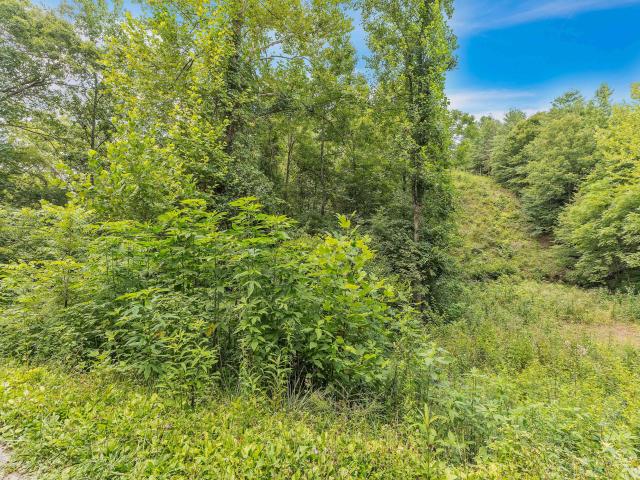 Land for sale in Reliance