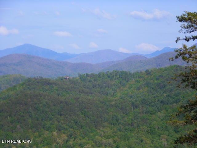 Land for sale in Townsend, East Tennessee