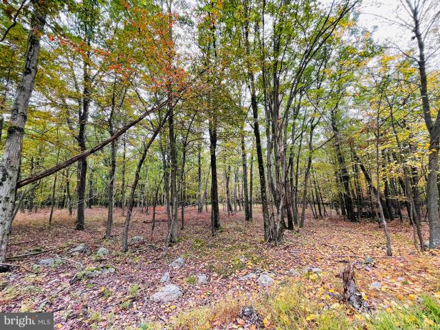 Land for sale in Zion Grove, Pennsylvania
