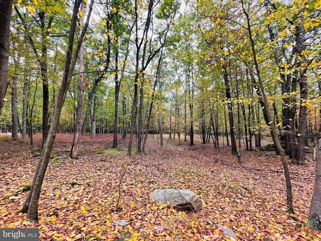 Land for sale in Zion Grove, Pennsylvania