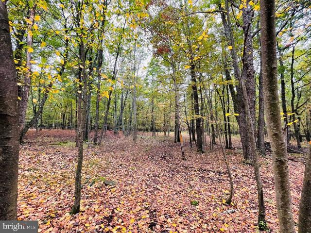 Land for sale in Zion Grove, Pennsylvania