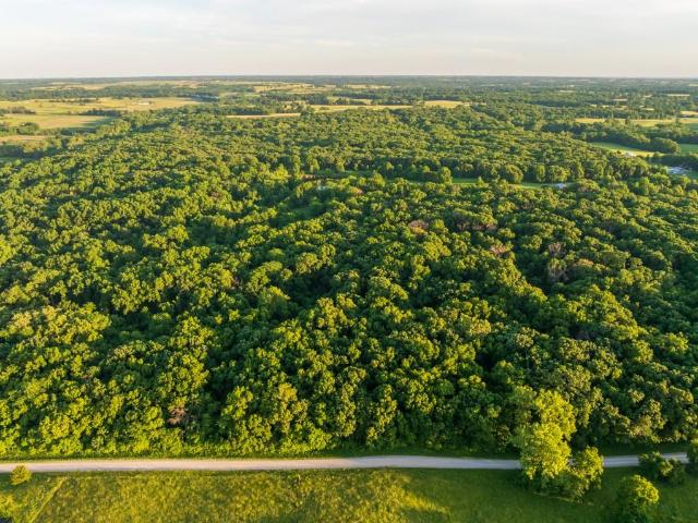 House for sale in Warrensburg, Missouri