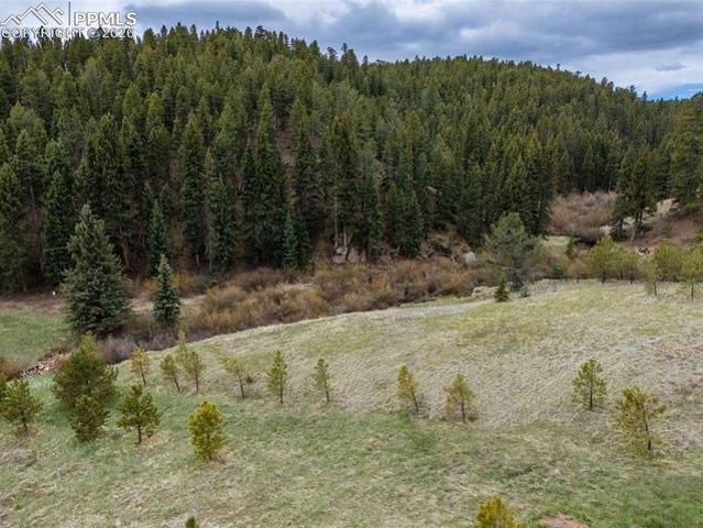 Land for sale in Teller, Colorado