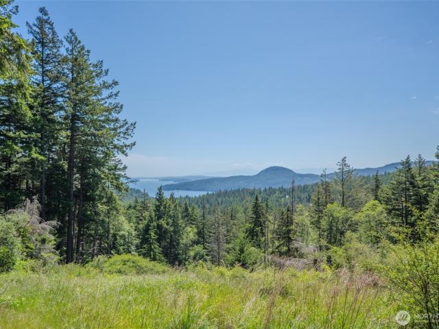 Land for sale in Eastsound, Washington