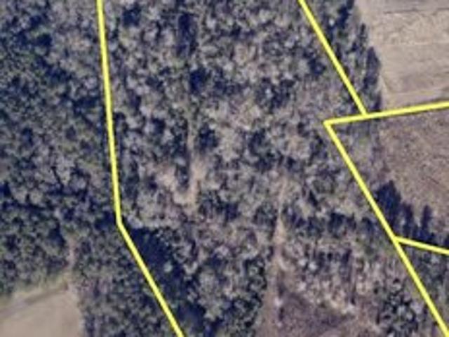 Land for sale in Timmonsville, South Carolina