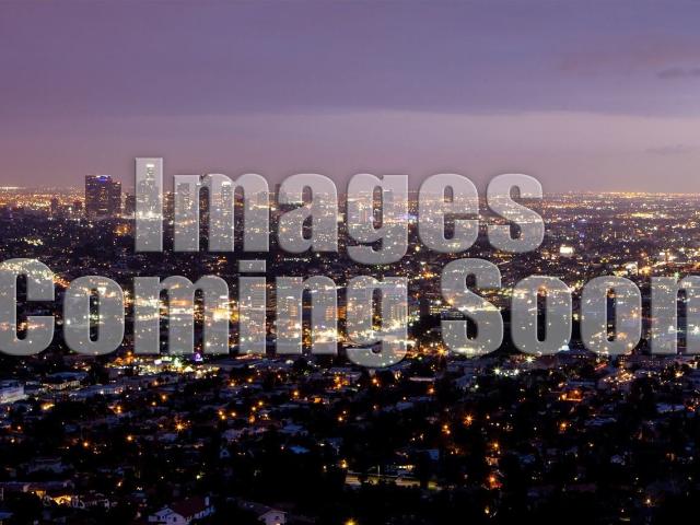 Apartment for rent in North Hollywood Northeast Neighborhood Council District, Los Angeles