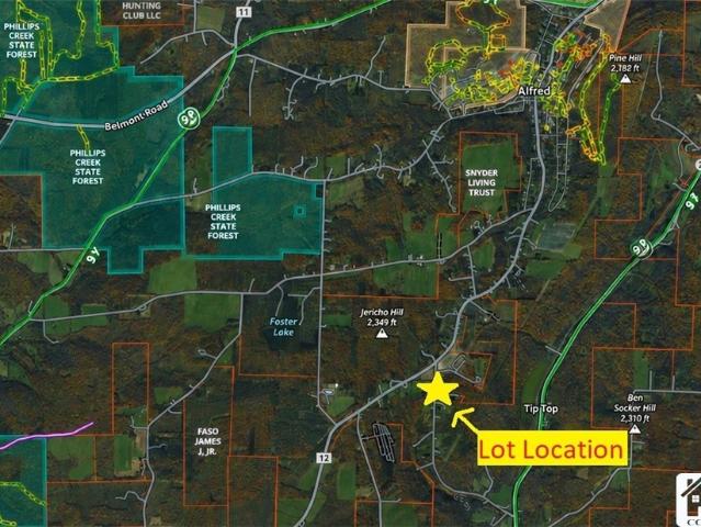 Land for sale in Town of Alfred, Allegany County