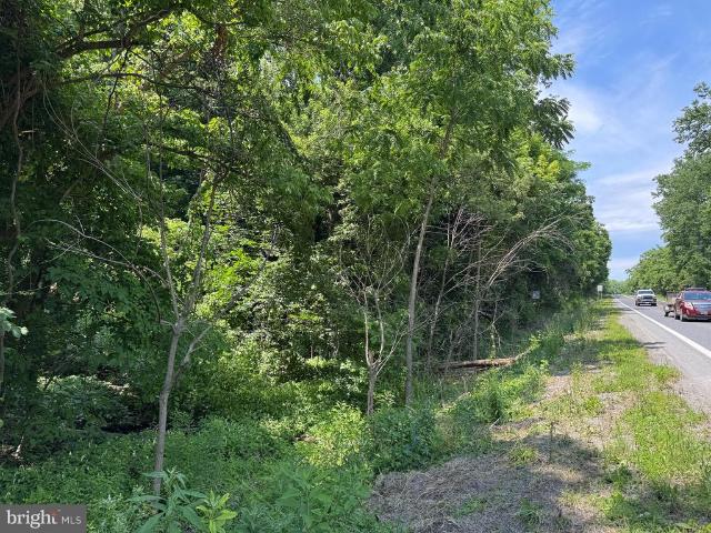 Land for sale in Berkeley Springs, West Virginia