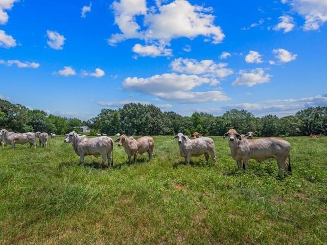 Land for sale in Alto, Texas