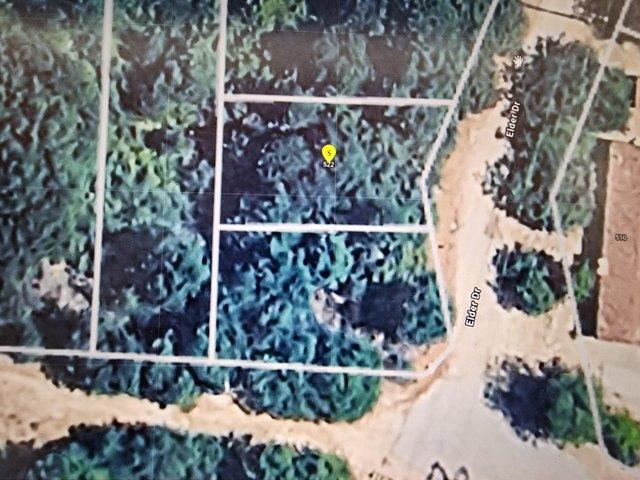 Land for sale in Cedar Glen, California