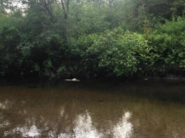 Land for sale in Saratoga, New York
