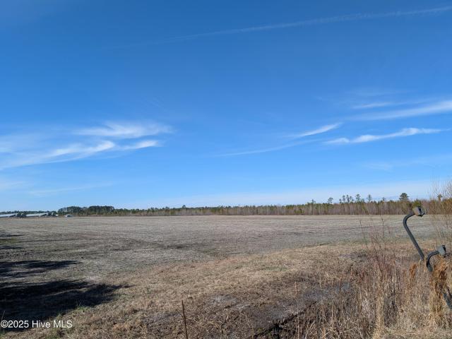 Land for sale in Trenton, North Carolina