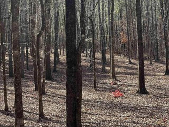 Land for sale in Columbiana, Alabama