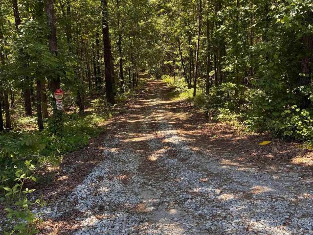 Land for sale in Columbiana, Alabama