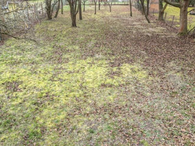 Grundstück mieten in Langenzersdorf, Niederösterreich