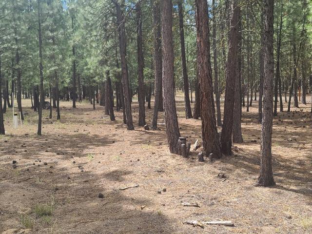 Land for sale in Oregonia
