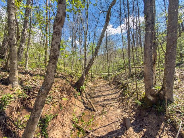 Land for sale in Chesterhill, Ohio