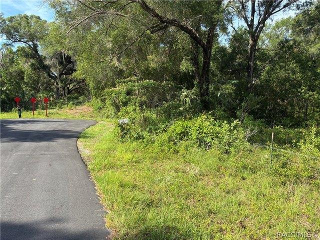 Land for sale in Hernando, Florida