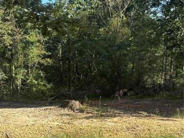 Land for sale in Cottondale, Tuscaloosa