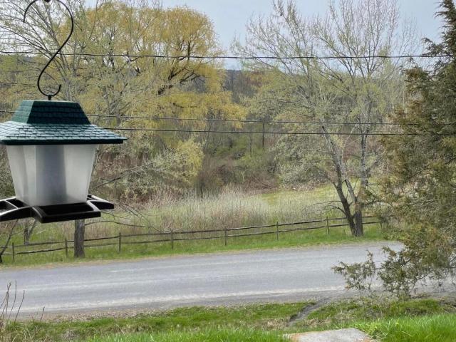 House for sale in Central Bridge, New York