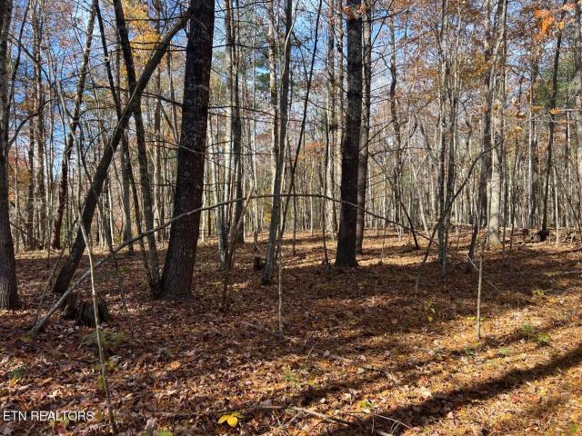 Land for sale in Tennessee