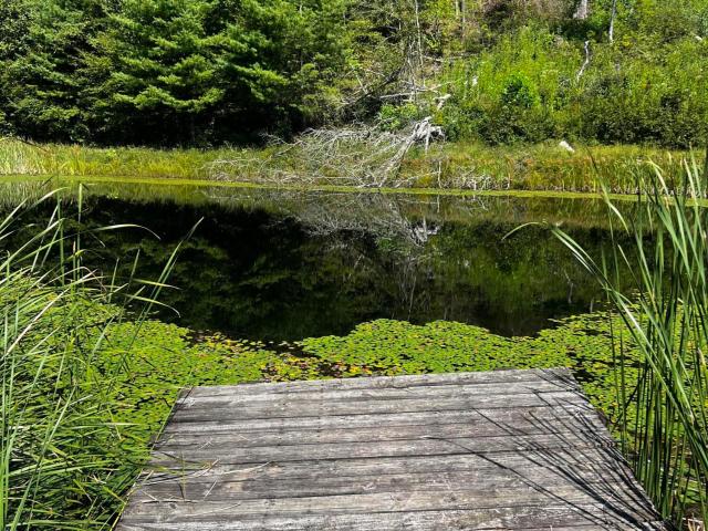 House for sale in Wolfe, Kentucky