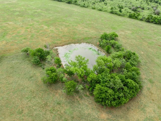Farm for sale in Limestone, Texas