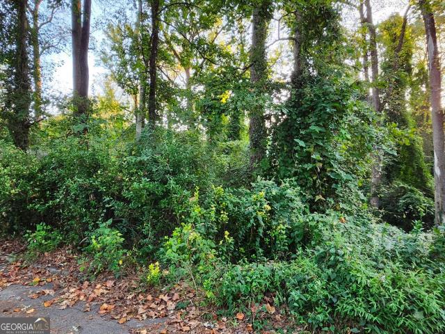 Land for sale in Pine Lake, Georgia