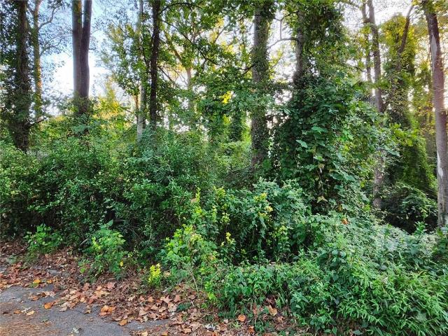 Land for sale in Pine Lake, Georgia