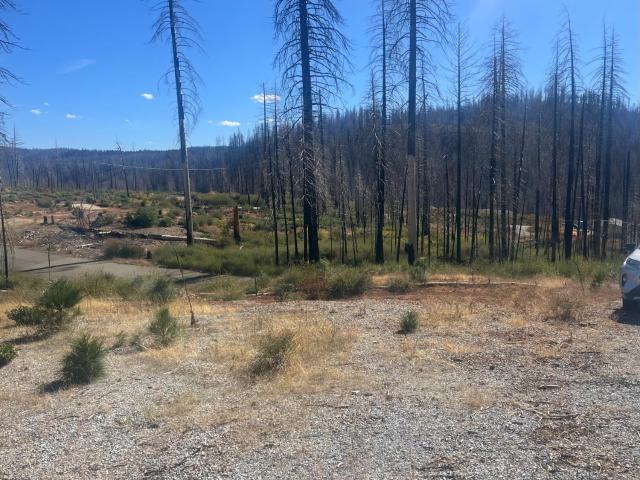 Land for sale in Grizzly Flats, California