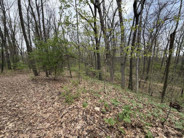 House for sale in Horton, Michigan