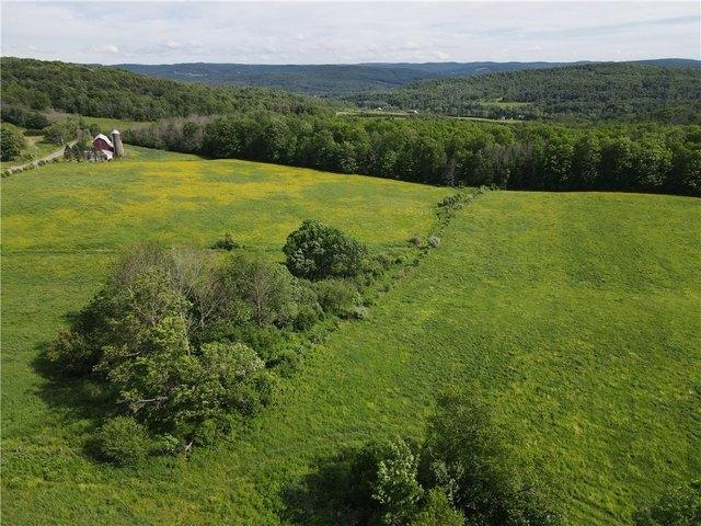 Farm for sale in Friendship, New York