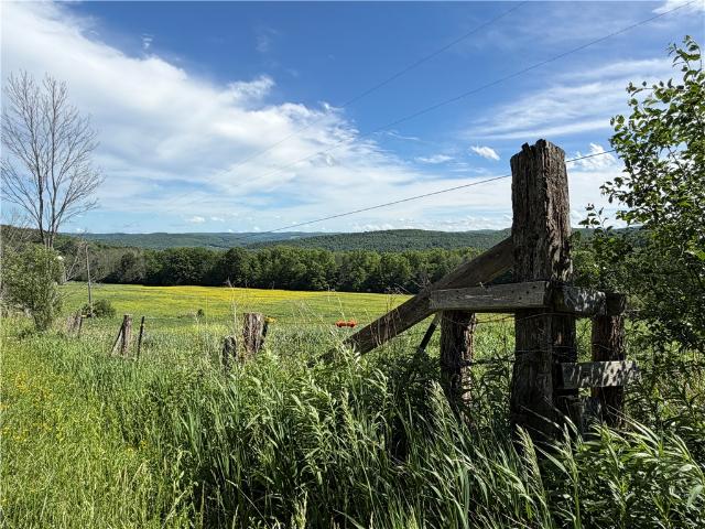 Land for sale in Friendship, New York