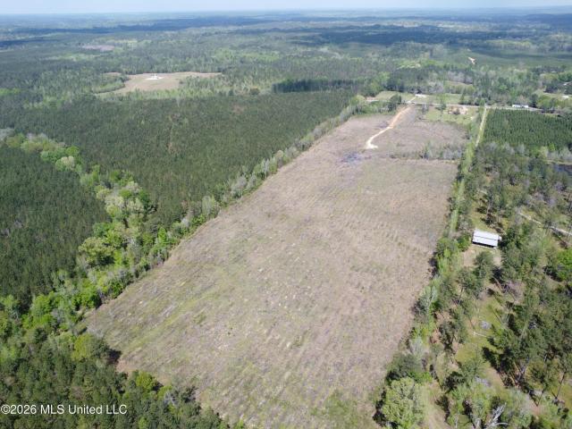 Land for sale in Alamucha, Toomsuba